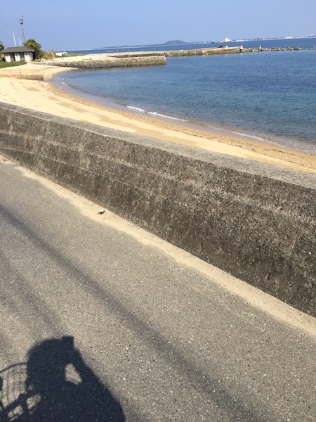 能古島で自転車をレンタル