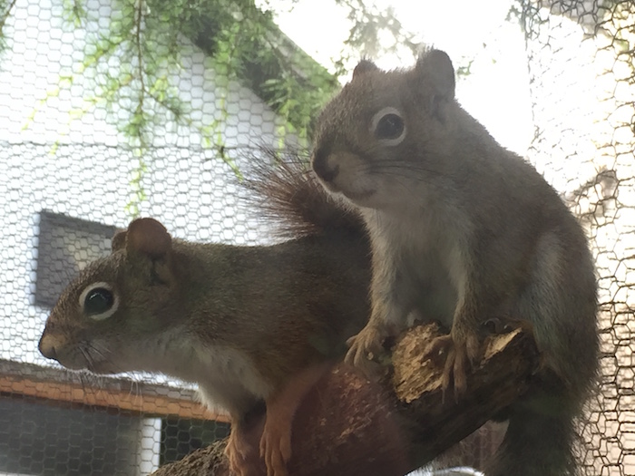 Yufuin Floral Village