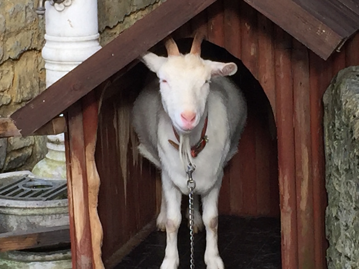 Yufuin Floral Village