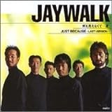 何も言えなくて・・・夏